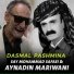 Say Mohammad Safaei, Aynadin Mariwani
