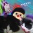 Кул Mashups