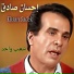Ehsan Sadek