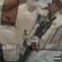 Decoy