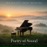The Peaceful Sound Orchestra