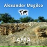 Alexander V.Mogilco