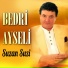 Bedri Ayseli