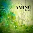 Aminü