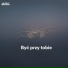 Skibi