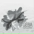 Seba
