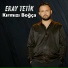 Eray Tetik
