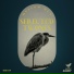 Mellow Men