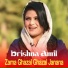 Brishna Amil