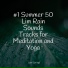 Zen, Sampling XL, Master Meditação