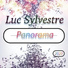 Luc Sylvestre