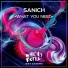 Sanich
