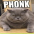 PHONK OMG