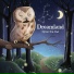 Orion The Owl