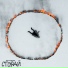 NeVampire