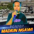 Ponidi