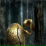 Wizard2444