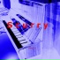 djselsky