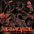Serial Vice