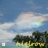 nielrow