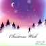 Chris Chinni