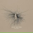 Joep Beving, Grace Davidson, Sonderling Quartet