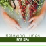 Spa, Relaxation and Dreams