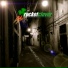 Rocketclover
