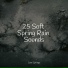 Zen Music Garden, Ruído branco, Nature Sounds