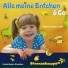 Sternschnuppe