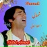 Ustad Amani