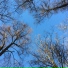 Pushkin п.у. Kaa и Anny