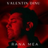 Valentin Dinu