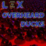 LΞX