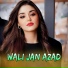 Wali Jan Azad