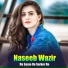 Naseeb Wazir