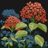 Hydrangea Dogs