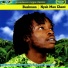 Bushman
