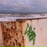 Drima, gustbeatz