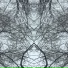 AlPhoenix