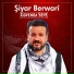 Şiyar Berwari