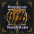 Sentimiento Incontrolable