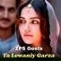 Zps Geets
