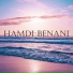 Hamdi Benani