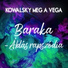 Kowalsky Meg A Vega