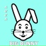 Bunny House