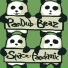 PanDub Bear