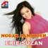 Erie Suzan