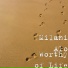 Milani Alo