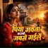 Yadav Gulshan